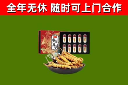 都江堰回收冬虫夏草价格